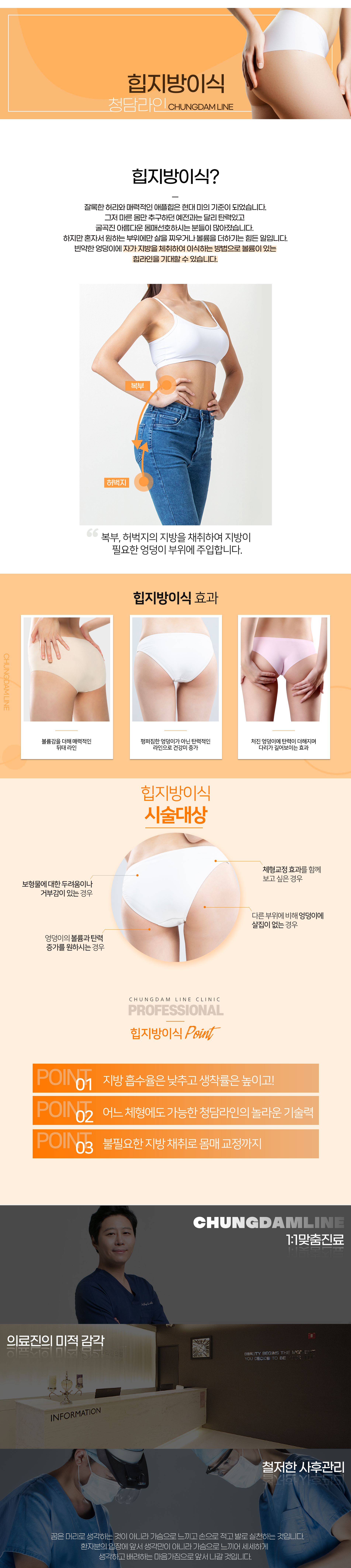 힙지방이식